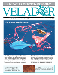 Issue 2, 2015