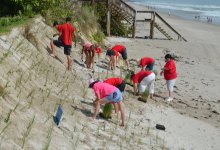 stcduneplantingcarrrefuge_tn