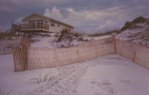 sandfence